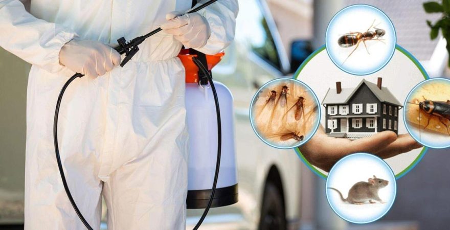 Köprüköy Böcek İlaçlama