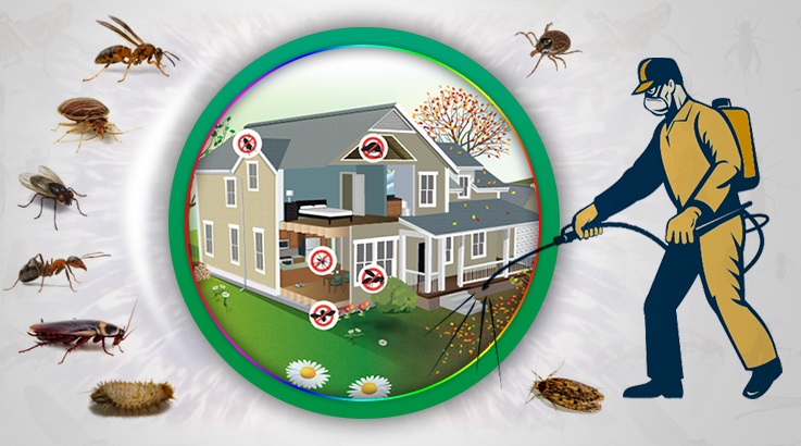 Köprüköy Böcek İlaçlama