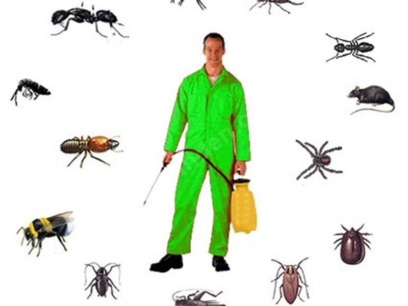 Köprüköy Böcek İlaçlama